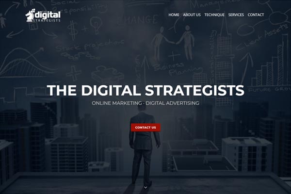 The Digital Strategists Website